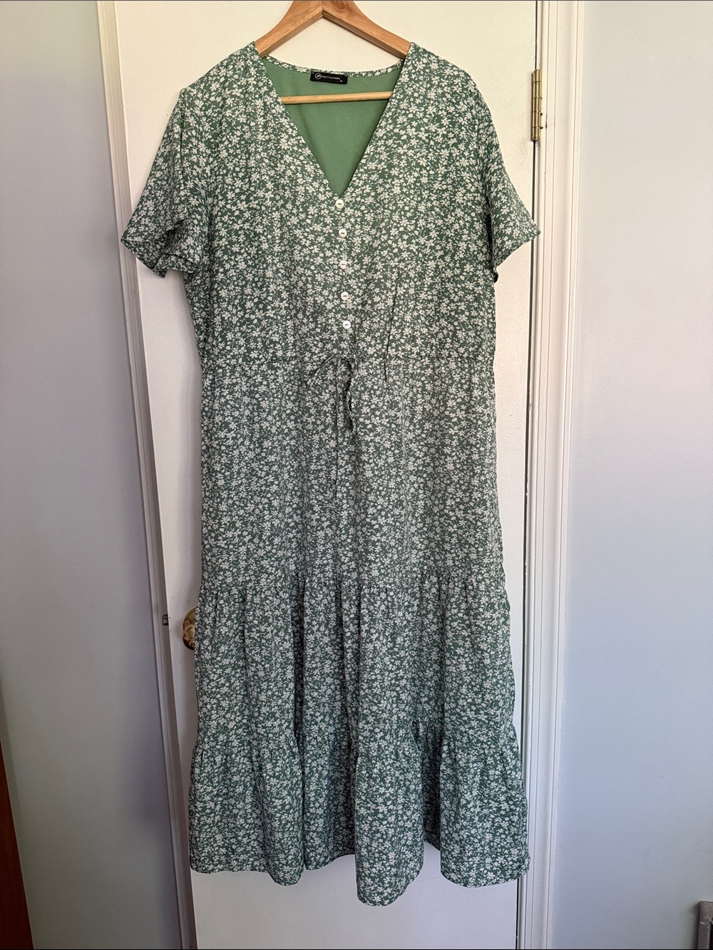 Pretty garden Green Floral Button-Front Maxi Dress